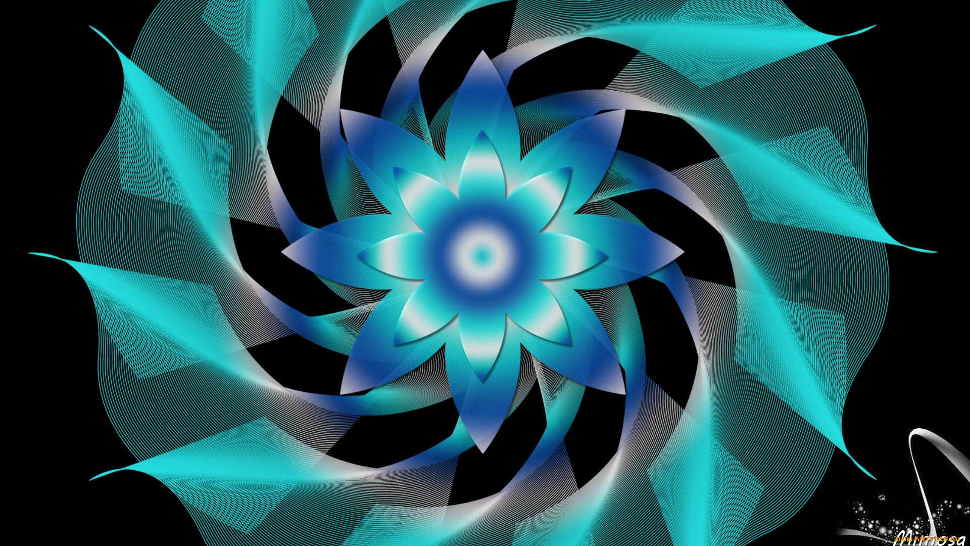  ,  , graphics, , , 